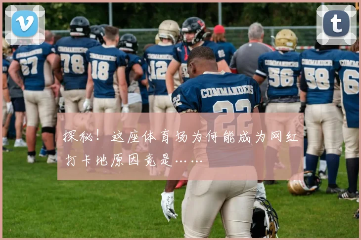 探秘！这座体育场为何能成为网红打卡地原因竟是……